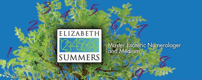 Elizabeth Summers website