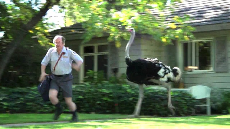 As the ostrich-pursued postman in the Pedigree ''Crazy Pets'' Superbowl spot